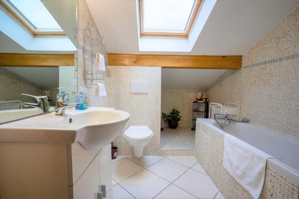 Sévrier Cabana & Panorama Lac Annecy -Parking & Terrasse מראה חיצוני תמונה